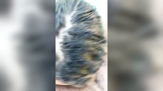 SloppyBlowjob: I love me some black cock #5